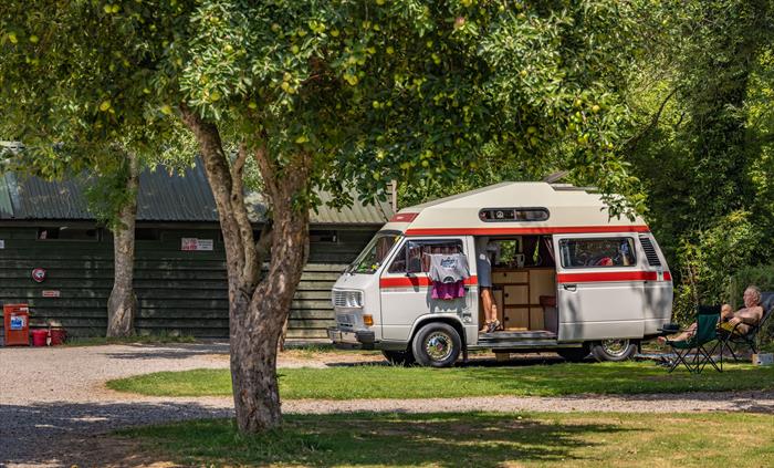 Orchard Camping Field